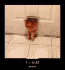 Garfield Original GIF
