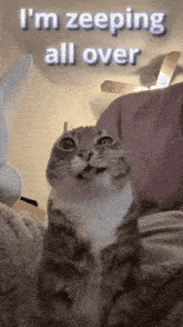 a cat with its tongue out and the words i 'm zeeping all over
