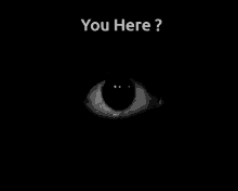 You Here GIF