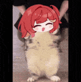 a person is holding a cat with a drawing of a girl on top of it .
