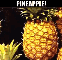 Pineapple Iron Chef GIF - Pineapple Iron Chef Secret Ingredient GIFs