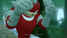knuckles from sonic the hedgehog says " amy ! knuckles ! go left "