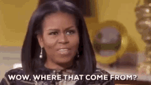 Michelle Obama Where That Come From GIF - Michelle Obama Where That Come From GIFs
