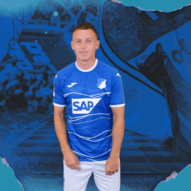 Tsg Hoffenheim Fussball GIF - Tsg Hoffenheim Fussball Bundesliga GIFs