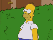 Nope Homer Simpson GIF