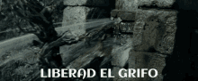 Liberad Grifo GIF - Liberad Grifo Ents GIFs