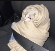 a cat is wrapped in a blanket in a car seat belt .