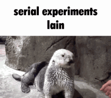 Serial Experiments Lain Lain GIF - Serial Experiments Lain Lain Anime GIFs