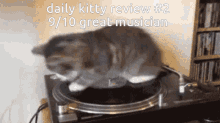 Spin Cat GIF - Spin Cat Kitty Review GIFs