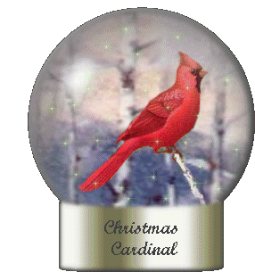 Christmas Cardinal Sticker - Christmas Cardinal Snow Globe Stickers