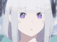 a girl with white hair and purple eyes has a butterfly in her hair