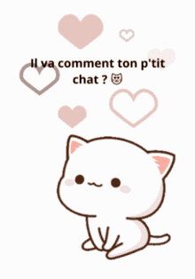 Petit Chat Ptit Chat GIF - Petit Chat Ptit Chat Emma GIFs