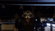 a raccoon wearing a black jacket is waving his hands