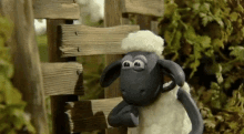 Shaun The Sheep Giggle GIF - Shaun The Sheep Giggle Laugh GIFs