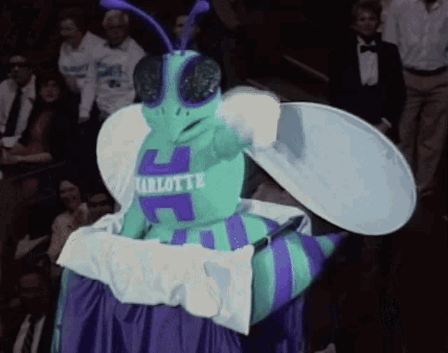 Hugo the Hornet!  Mascot costumes, Mascot, Charlotte hornets