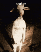 Code Stand GIF - Code Stand Goat GIFs