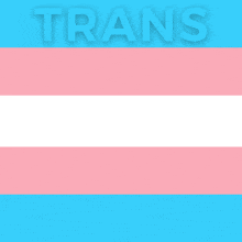 a transgender flag with the word rights in the corner
