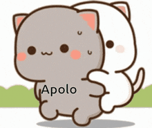 Apolito GIF - Apolito GIFs