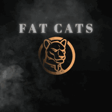Fat Cat Fat Cats GIF - Fat Cat Fat Cats Fat Cats Studio GIFs