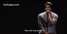 You Are My Pride.Gif GIF