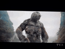 a picture of a gorilla on a tv screen with the time 7:11