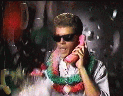 Party Time Pienapple GIF - Party Time Pienapple Call - Discover & Share GIFs