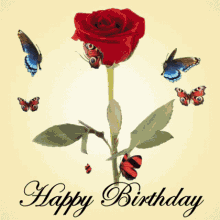 Happy Birthday Red Rose GIF - Happy Birthday Red Rose 3d Gifs Artist GIFs