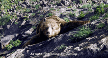 The Jungle Book Baloo GIF - The Jungle Book Baloo All Right Im Coming Im Coming GIFs
