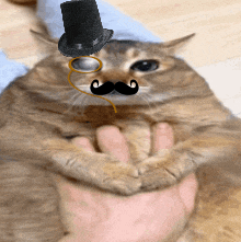 a cat wearing a top hat and mustache is being held by a person