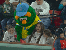 a mascot wearing a blue hat with a letter b on it