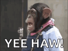 Monkey Yee Haw GIF - Monkey Yee Haw Overalls GIFs