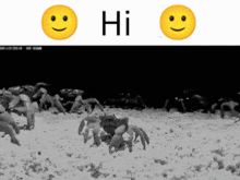 Hi Crab GIF - Hi Crab Hello GIFs