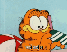 กาฟิว หล่อสุด GIF - Garfield Im Handsome Im Cool GIFs