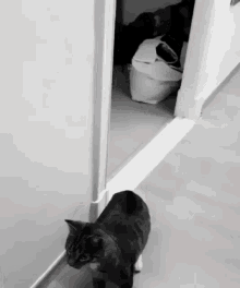 Kucing Kaget GIF - Kucing Kaget Kucing Kaget GIFs