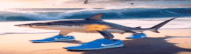 a shark is wearing a pair of blue nike shoes on the beach .