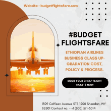 Ethiopian Airlines Business Class Upgradation Cost Policy GIF - Ethiopian Airlines Business Class Upgradation Cost Policy GIFs