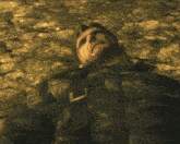 a man with a beard is wearing a camouflage vest and a black shirt