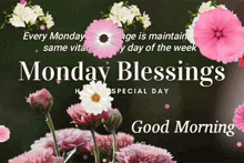 Monday Blessings GIF - Monday Blessings GIFs