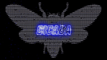 Cicada Electrified GIF - Cicada Electrified Bug GIFs