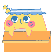 adorable boxy