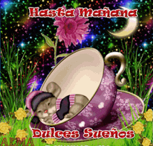 a cartoon of a mouse sleeping in a cup with the words hasta mañana dulces suenos
