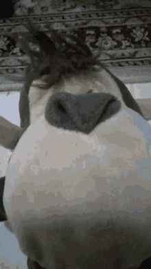 a stuffed animal with a black nose is laying on a white surface