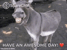 Have An Awesome Day आपकादिनअच्छाहो GIF - Have An Awesome Day आपकादिनअच्छाहो गधा GIFs