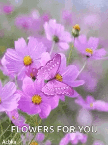 Violet Butterfly GIF