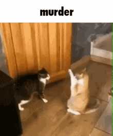 Violent Cat Cat GIF - Violent Cat Cat Death GIFs
