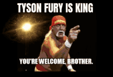 Fury Tyson GIF - Fury Tyson Hulk GIFs