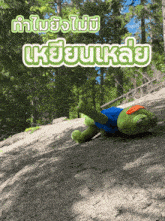 a stuffed frog is laying on the ground in the woods with a caption in a foreign language