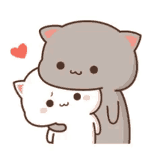 Cute Cat GIF - Cute Cat Couple GIFs