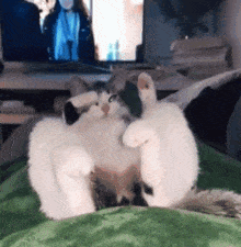 GIF