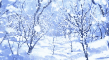 Banner Snow GIF - Banner Snow Snowing GIFs